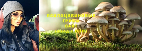 тгк Абдулино
